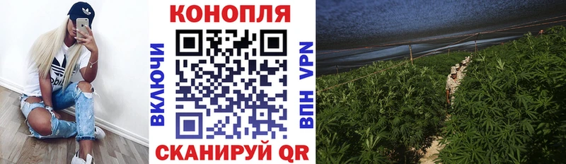 Бошки марихуана LSD WEED  Купить закладки  Людиново 
